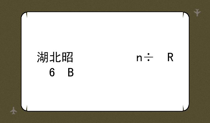 湖北是全国甲卷吗