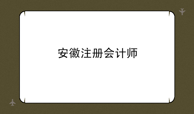 安徽注册会计师