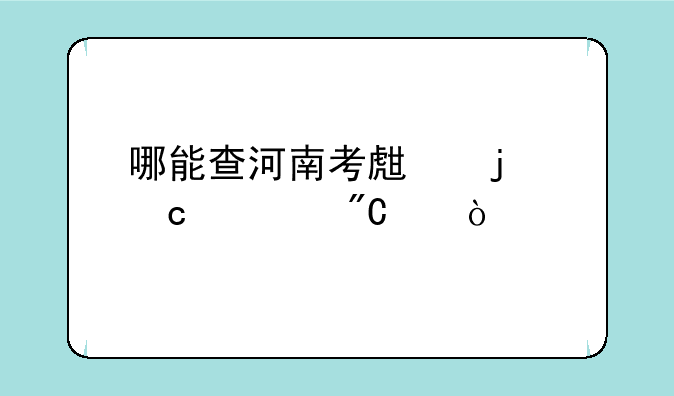 哪能查河南考生的高考成绩？