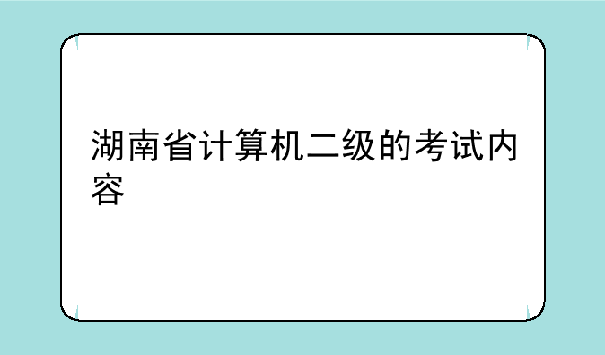 湖南省计算机二级的考试内容