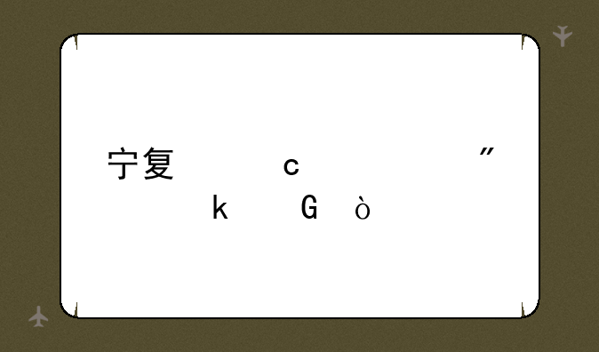 宁夏高考满分多少？