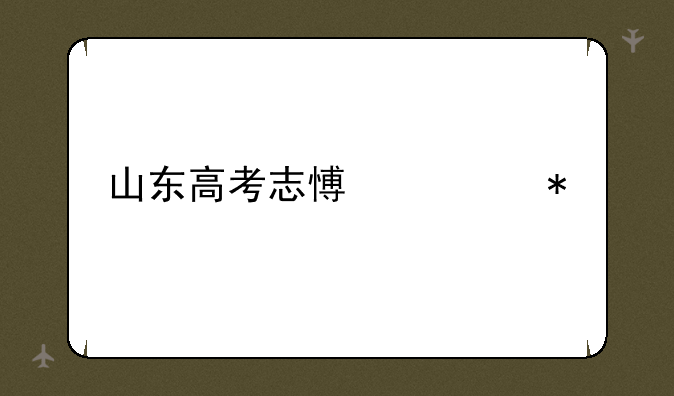 山东高考志愿填报表