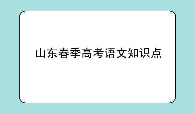 山东春季高考语文知识点