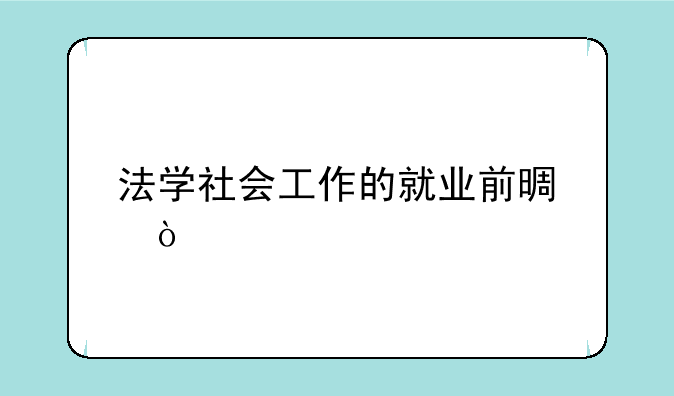 法学社会工作的就业前景？