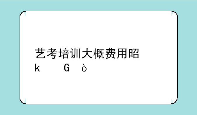 艺考培训大概费用是多少？