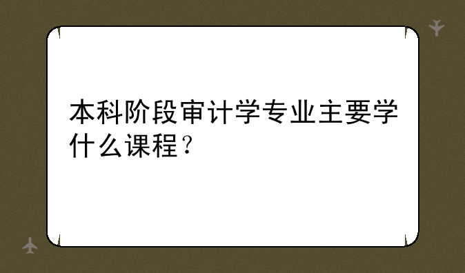 本科阶段审计学专业主要学什么课程？