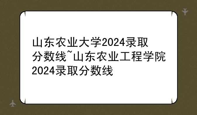 山东农业大学2024录取分数线~山东农业工程学院2024录取分数线