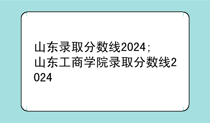 山东录取分数线2024;山东工商学院录取分数线2024